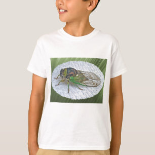 Camiseta Elementos de Coordinación de Cigarras Anuales