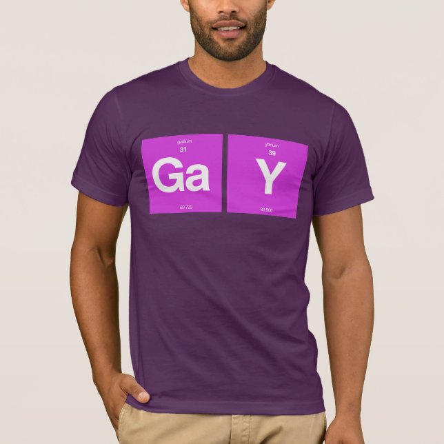 CAMISETA ELEMENTOS GAY (Anverso)