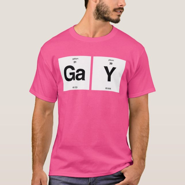 CAMISETA ELEMENTOS GAY (Anverso)