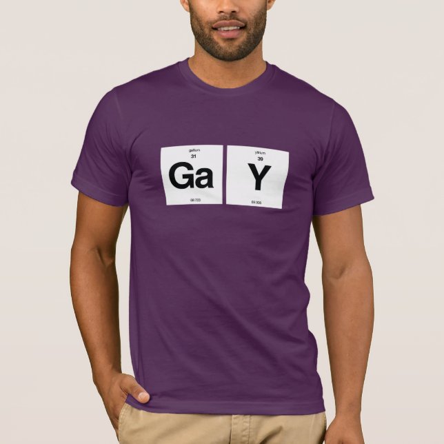 CAMISETA ELEMENTOS GAY (Anverso)