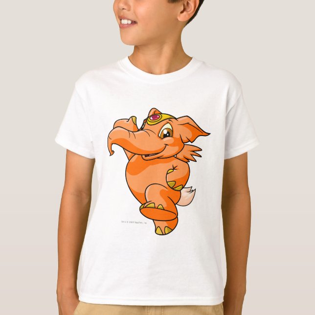 Camiseta Elephante Naranja (Anverso)