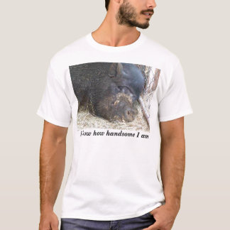 Camiseta Elvis hermoso, sé hermoso soy