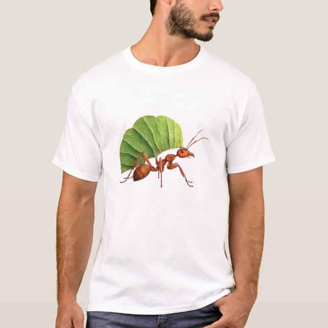 Camiseta Emerald Leafwing Ant (Anverso)