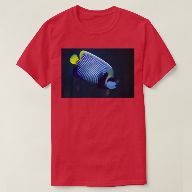 Camiseta Emperador (Diseño del anverso)