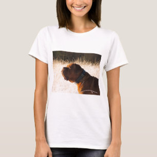 Camiseta Empleado de toros