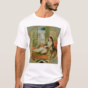 Camiseta En el Harem