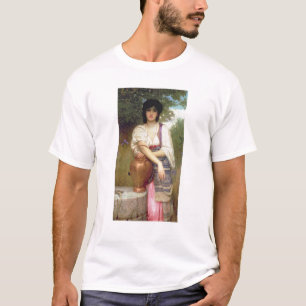 Camiseta En el pozo