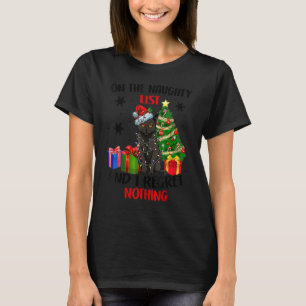 Camiseta En La Lista Malvada Y No Lamento Nada De Chris