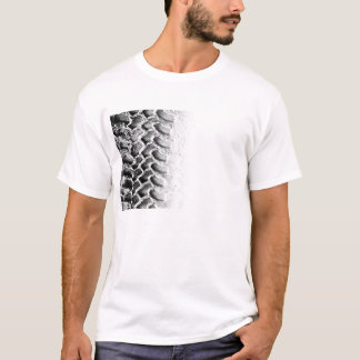 Camiseta En pista