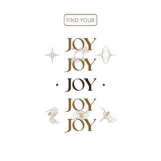 Camiseta Encuentra tu alegría