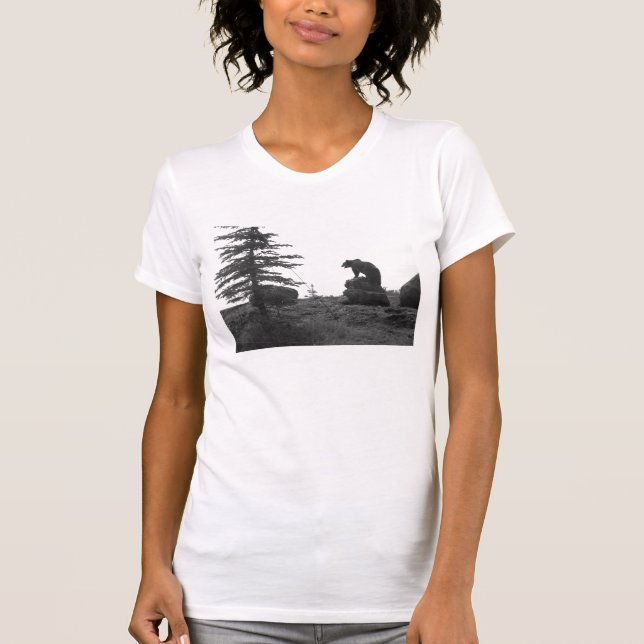 CAMISETA ENCUENTROS DEL OSO GRIZZLY DE MONTANA (Anverso)