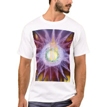 Camiseta Energía de Estrella