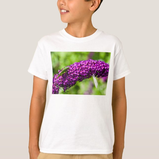 Camiseta energía de katydid (Anverso)