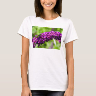 Camiseta energía de la katydid