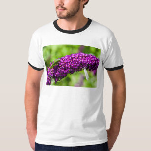 Camiseta energía katydid