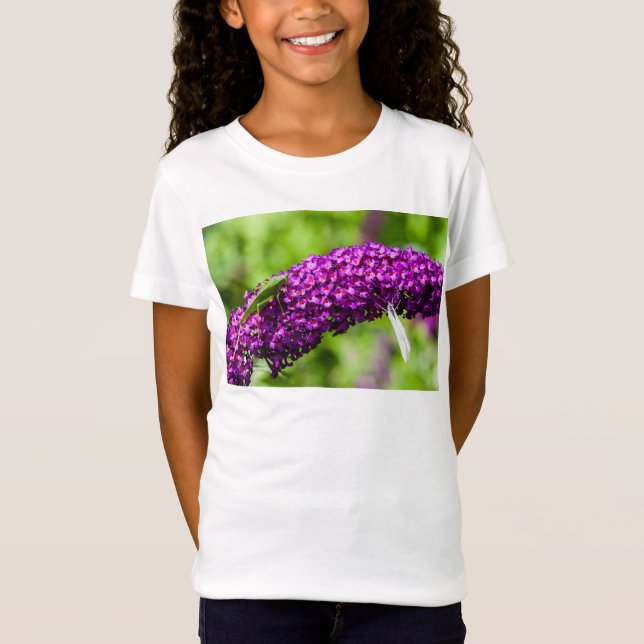 Camiseta energía katydid (Anverso)