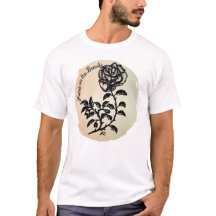 Enfoque en la pluma de belleza y el Rosa de algodó