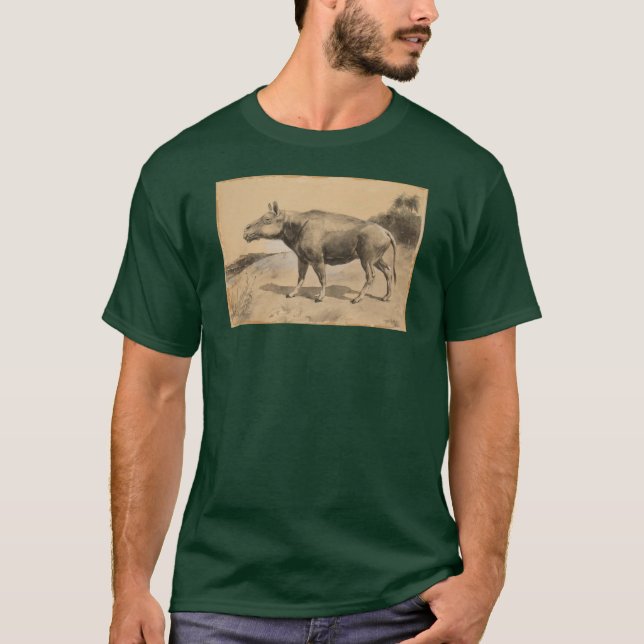 Camiseta Entelodonte (Anverso)