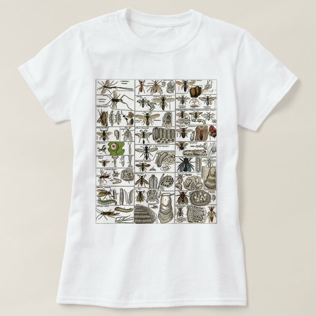 Camiseta Entomología del vintage (Diseño del anverso)