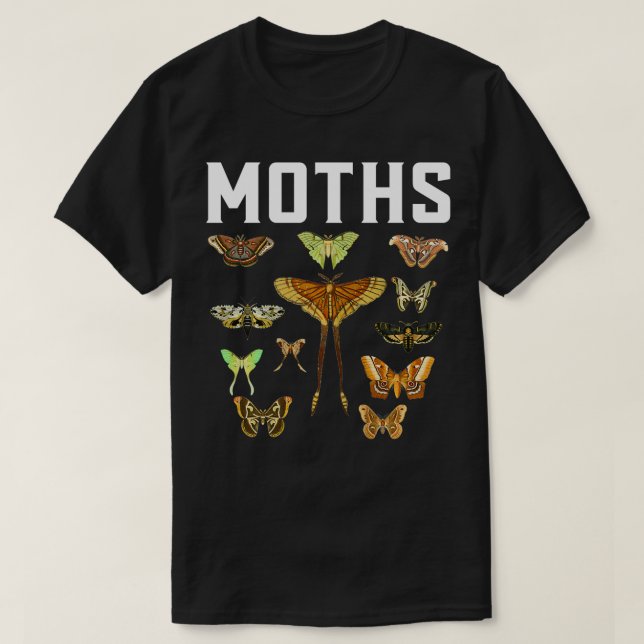 Camiseta Entomología Entomólogo Bug Bugs Insectos Insectos (Diseño del anverso)