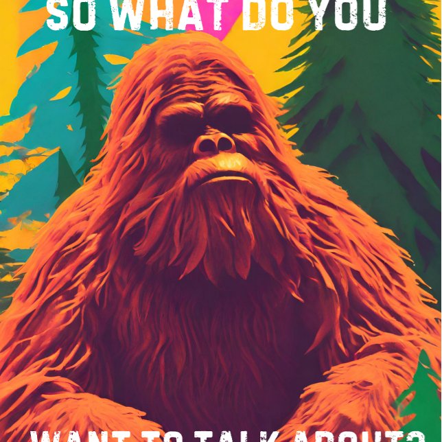 Camiseta Entonces, ¿de qué quieres hablar? Sasquatch Sit D (Subido por el creador)