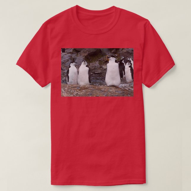 Camiseta Entrenamiento en aeróbicos de Chinstrap Penguins (Diseño del anverso)