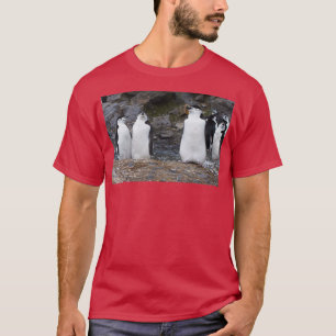 Camiseta Entrenamiento en aeróbicos de Chinstrap Penguins