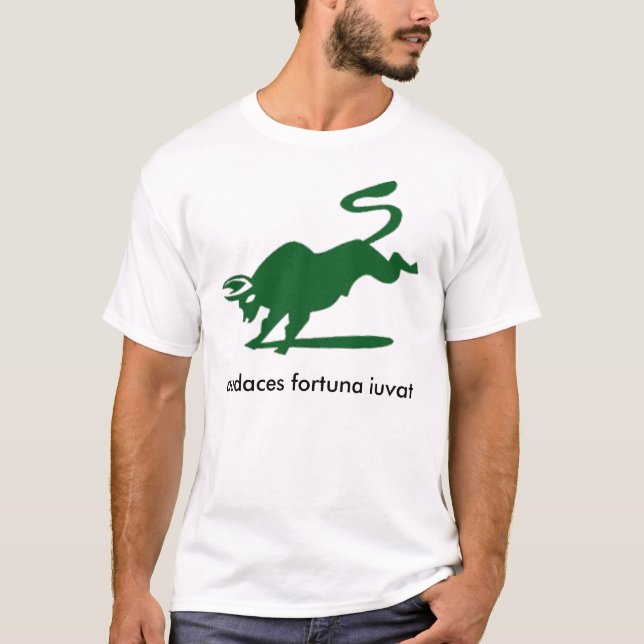 Camiseta Equipo 5 del ejecutivo 2010 de Darden MBA (Anverso)