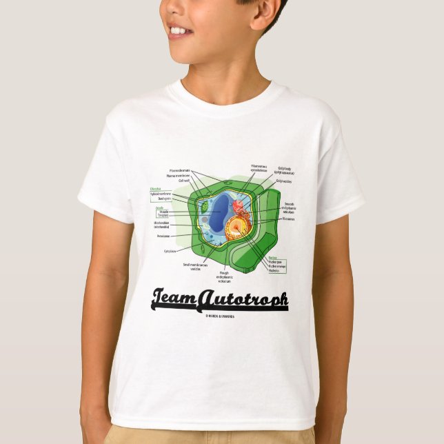 Camiseta Equipo Autotroph (biología celular de la planta) (Anverso)