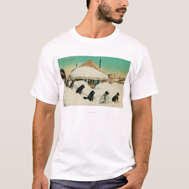 Camiseta Equipo de Alaska Dogsled que descansa en SnowState (Anverso)