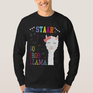 Camiseta Equipo del día del examen STAAR No hay problema ll