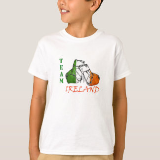 Camiseta Equipo Irlanda