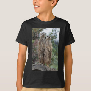 Camiseta Erdmännchen Dreamteam