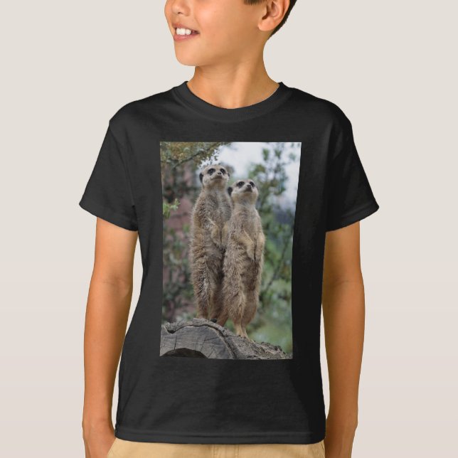 Camiseta Erdmännchen Dreamteam (Anverso)
