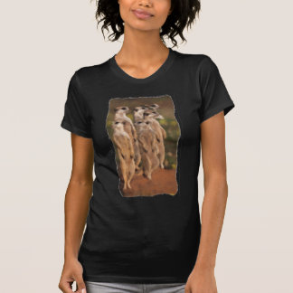 Camiseta Erdmännchengruppe