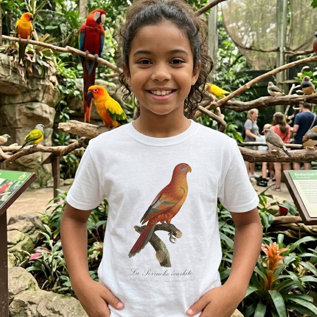 Camiseta Erecartado de Le Perruche (Red Lory or Eos Bornea, Trichoglossus borneus. Girl Basic White T-Shirt)