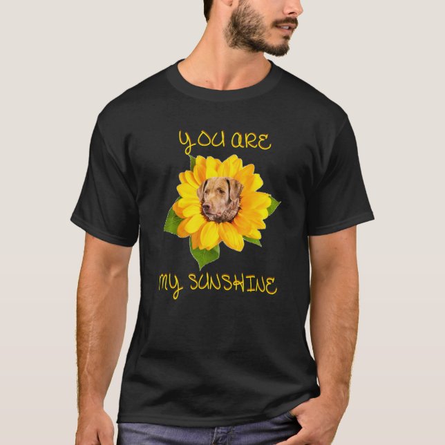 Camiseta Eres Mi Sunshine Chesapeake Bay Retriever Premi (Anverso)