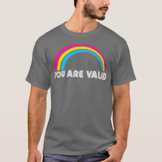 Camiseta Eres Válido Pansexual Orgullo LGBT Lgbtq Orgullo M