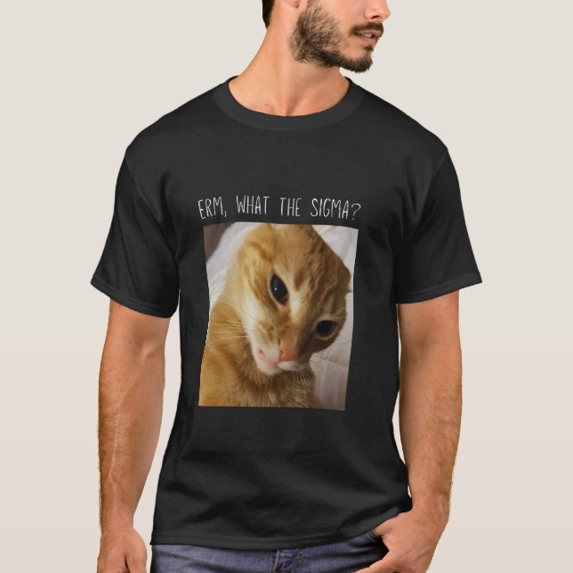 Camiseta Erm, Qué el Sigma meme divertido de gato (Anverso)
