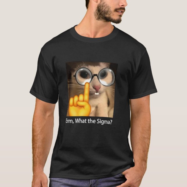Camiseta Erm Qué Meme De Sigma Cat Divertido Sarcástico (Anverso)