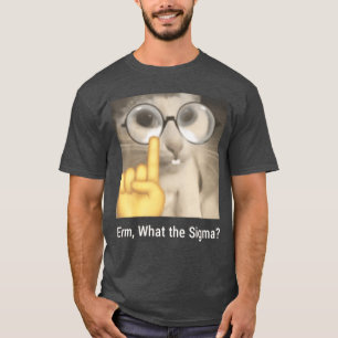 Camiseta Erm Qué Sigma Cat Meme Divertido divertido