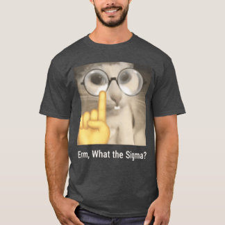 Camiseta Erm Qué Sigma Cat Meme Divertido divertido