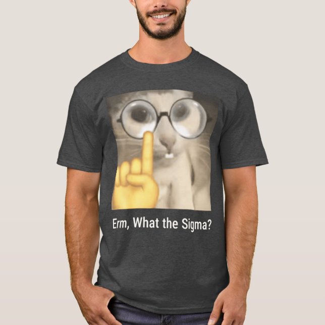 Camiseta Erm Qué Sigma Cat Meme Divertido divertido (Anverso)