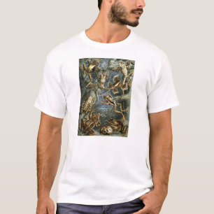 Camiseta Ernst Haeckel - Batrachia