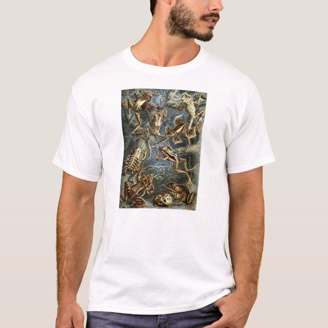 Camiseta Ernst Haeckel - Batrachia (Anverso)