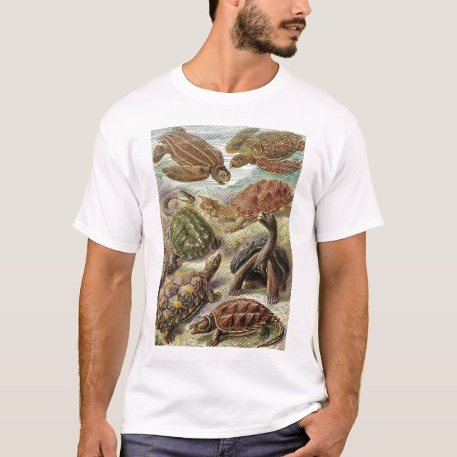 Camiseta Ernst Haeckel - Chelonia (Anverso)