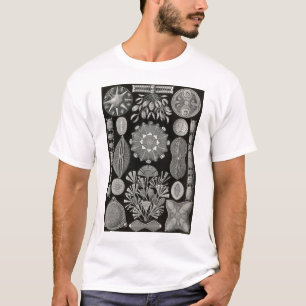 Camiseta Ernst Haeckel - Diatomea2