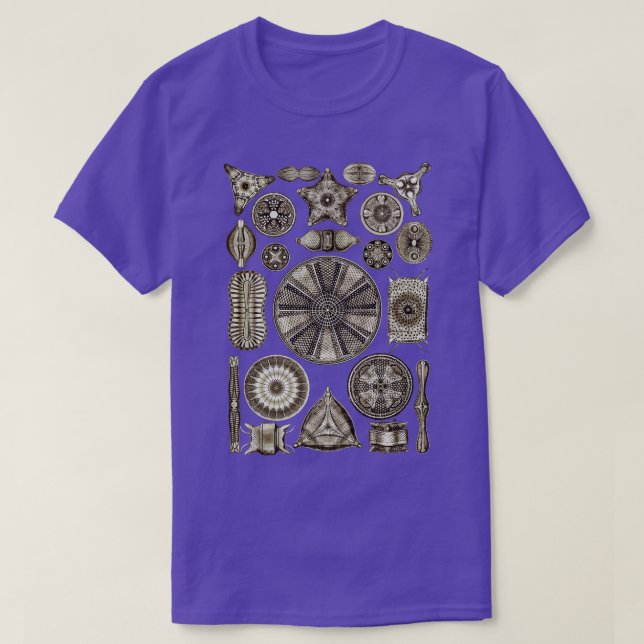 Camiseta Ernst Haeckel Diatoms Vintage Brown (Diseño del anverso)