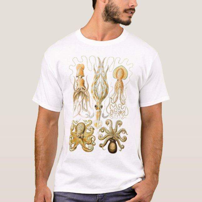 Camiseta Ernst Haeckel - Gamochonia (Anverso)