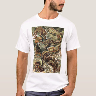 Camiseta Ernst Haeckel - lagartos de Lacertilia